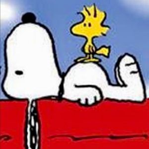 Meet your Posher, Marcelo